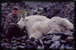 Lloyd Meineke of Bighorn, WY with his 13 year old Mountain Goat