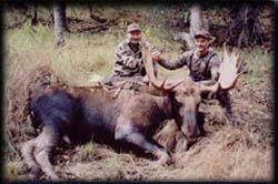 Tony Mudd of Reno, NV with his Archery Bull Moose