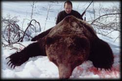 Edy Roach of Sulphur Springs, MT with his Old Spring Brown Bear
