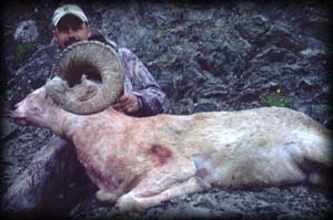 Jeremiah Lovelace of Casper, WY with his heavy Dall Ram