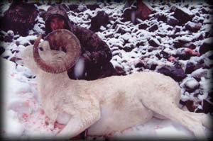 Mike Porter of Casper, WY with his FREEZE out Ram