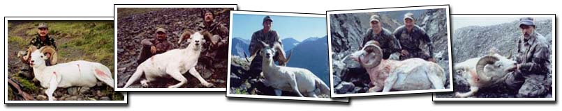 Knik Glacier Adventures - Hunting Dall Sheep